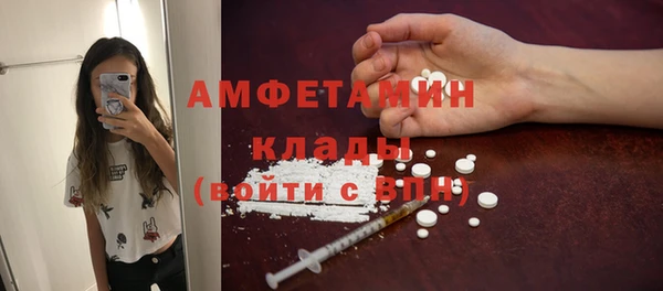 твердый Алексеевка