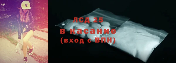 твердый Новозыбков