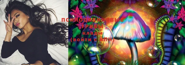 твердый Алексеевка
