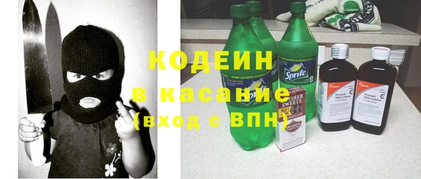 твердый Новозыбков