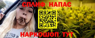 спайс Аша